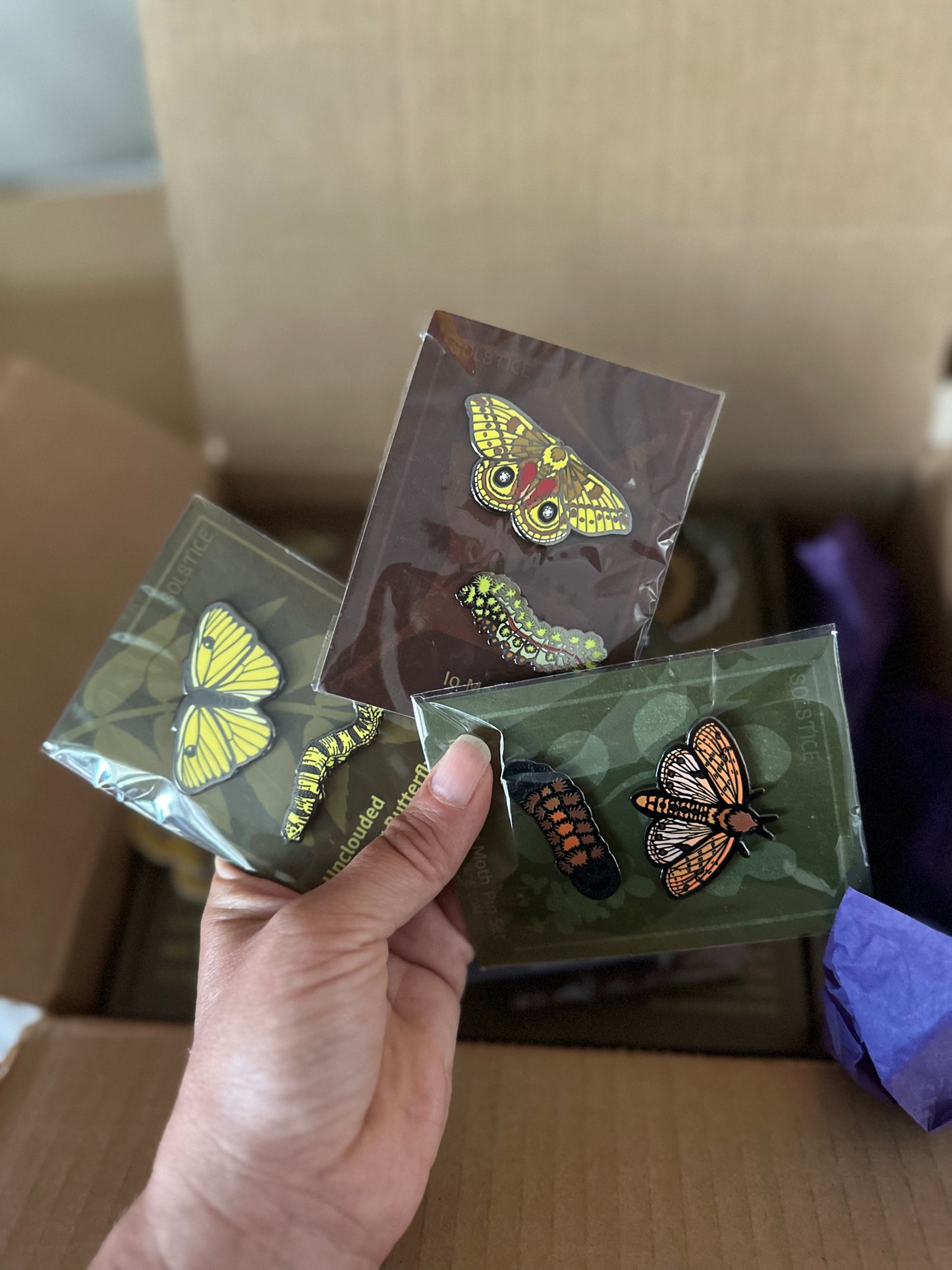 Moth & Caterpillar Enamel Pins